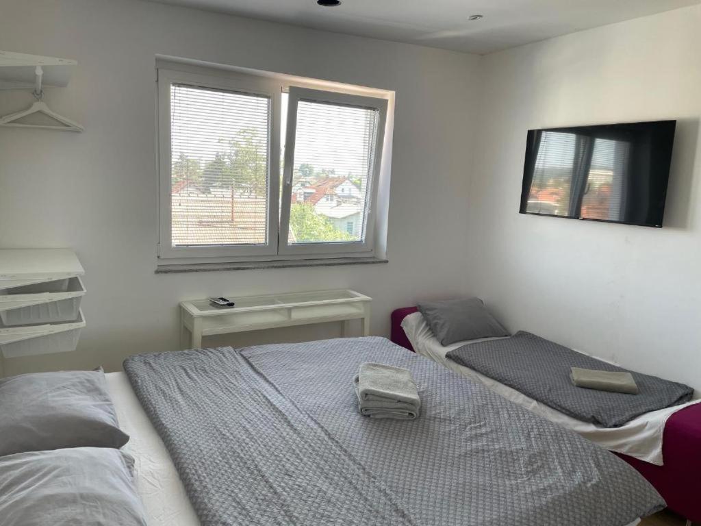 R41 - Tivoli Groundfloor Apartment Ljubljana Eksteriør bilde
