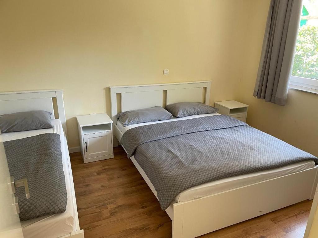 R41 - Tivoli Groundfloor Apartment Ljubljana Eksteriør bilde